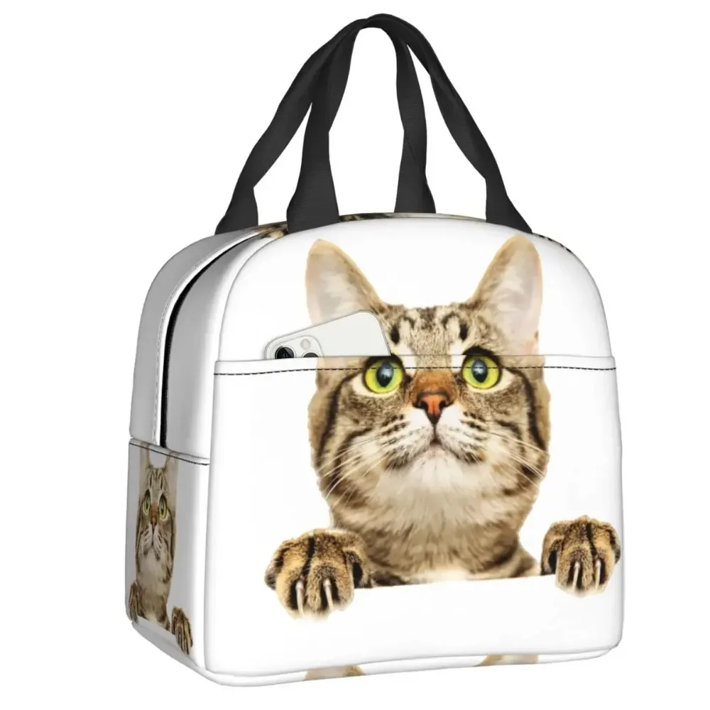 Сумка для обеда с забавным котом женщин и детей портативный термохолодильник