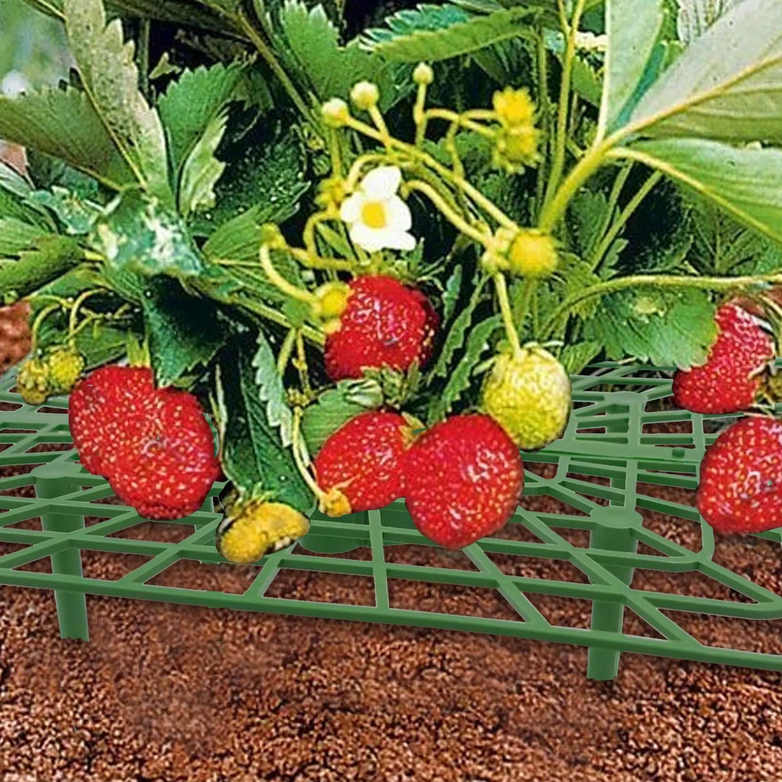 

3 шт., подставки для овощей и фруктов