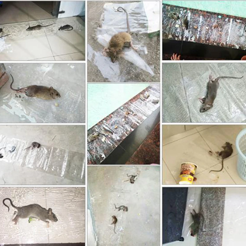 Мощная Бытовая Наклейка-ловушка Для Мыши Невидимый Волшебный Ковер