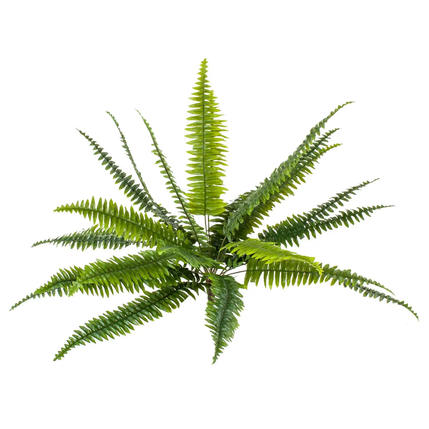 

Euro Flora artificial plant love ladder Fujer 65 Cm