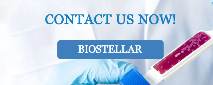 Цифровой измеритель твердости зерна BIOSTELLAR цифровой