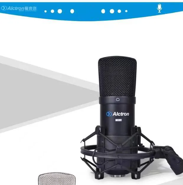 Alctron MC001 chanel earrings karaoke microphone usb wireless channel For Laptop Windows Cardioid Studio | Электроника