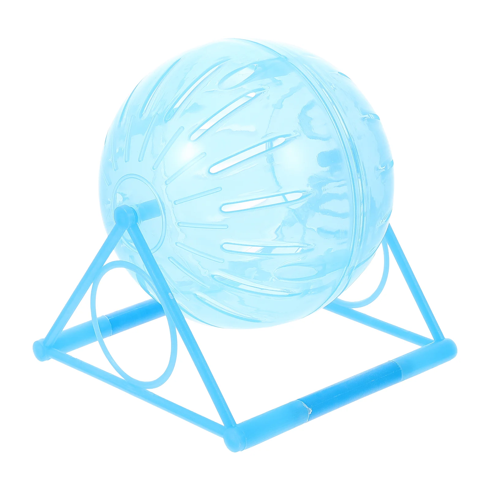 

Guinea Balls to Run in Hamster Wheel