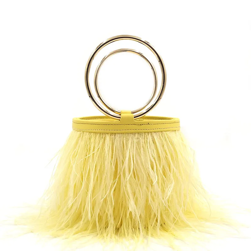 

Gnazhee Metal Handle Feather Ladies Handbag Women's Bags