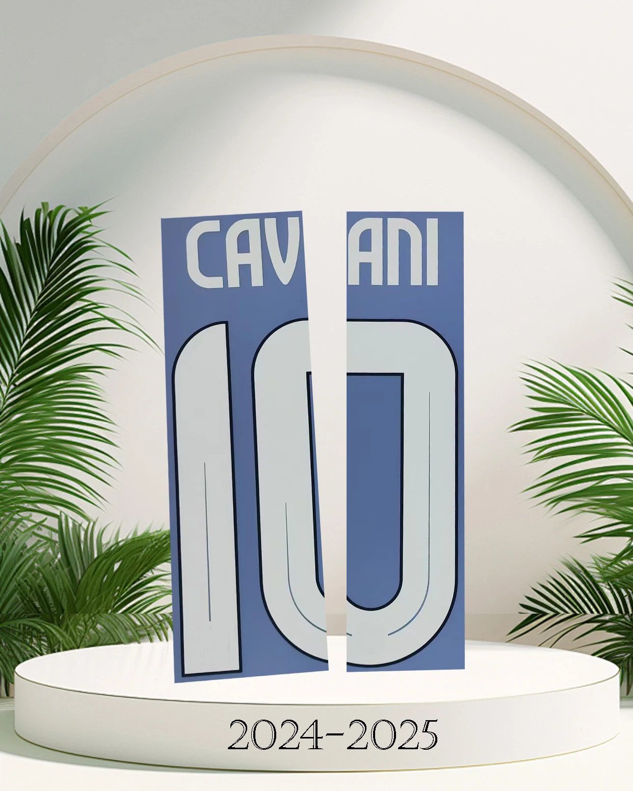 2024/25 BOCbA bJUNIORS CAVANI имя и номер домашние настраиваемые именные наборы Cavani Железный