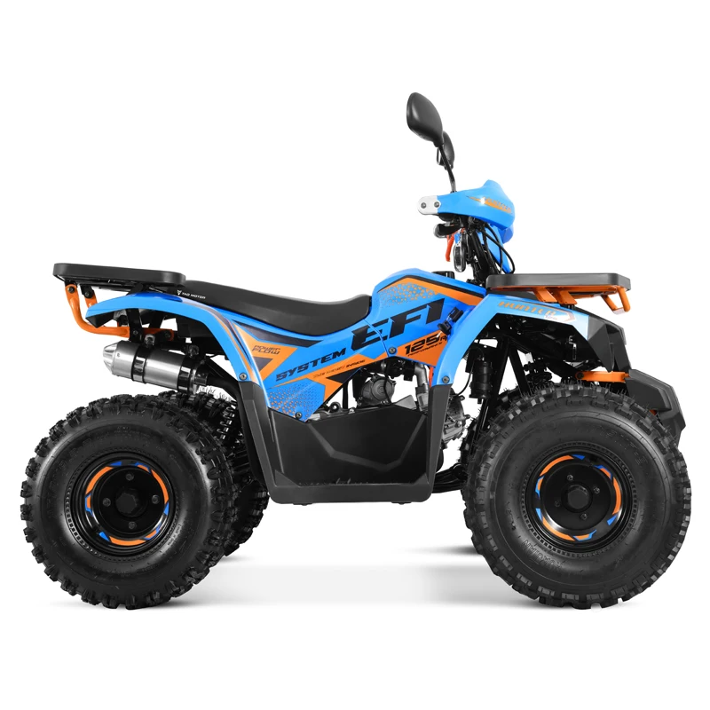 Tao Motor 2024 Новый электронный впрыск топлива EFI ATV 125 дешевый китайский
