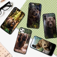 grizzly bear cute animal phone case for iphone 12 11 13 7 8 6 s plus x xs xr pro max mini shell