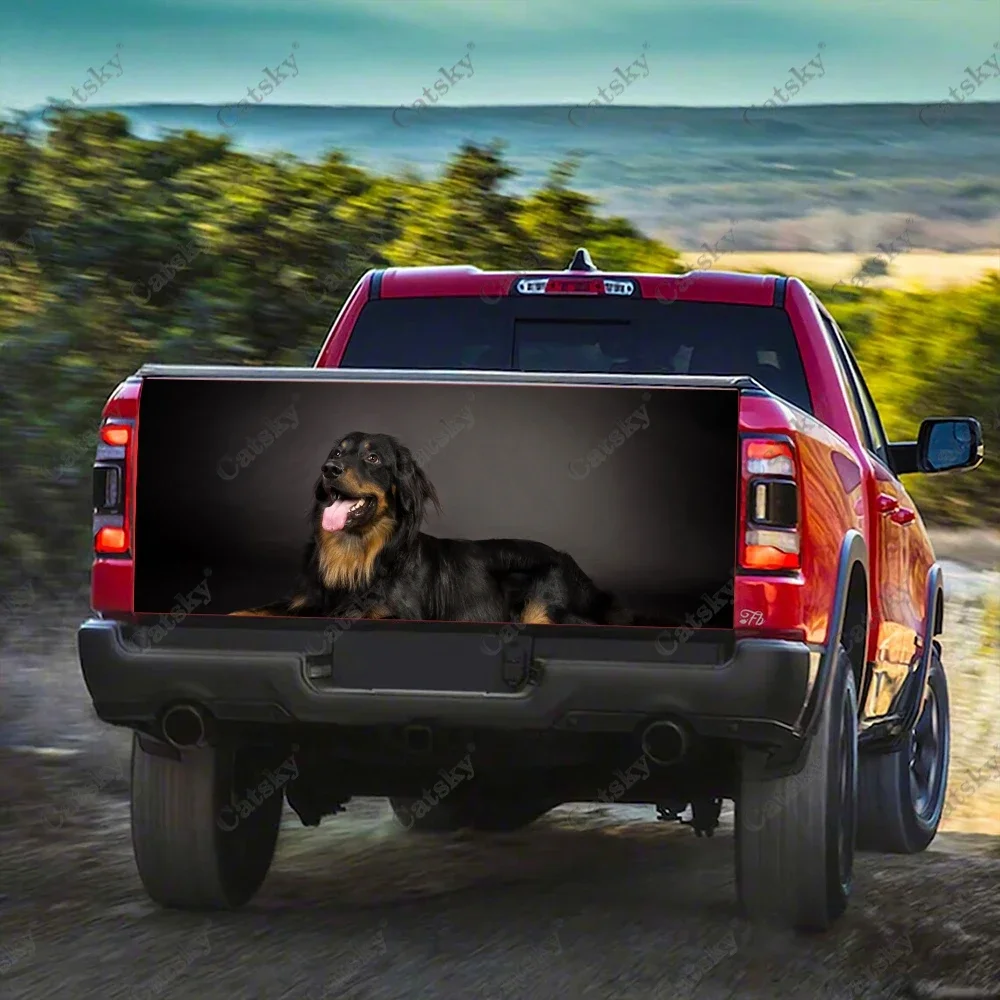 Самоклеящаяся виниловая наклейка на автомобиль задний