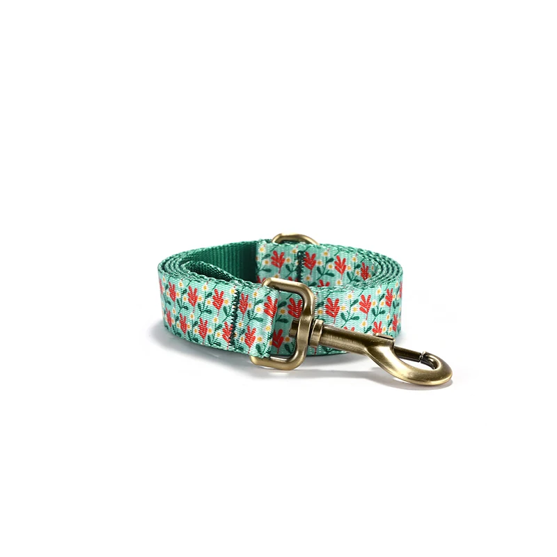 

PLATTCO самостоятельного дизайна Выгравированный собачий шейный ремень персонализированный Щенок поводок белый франжипан PDL343