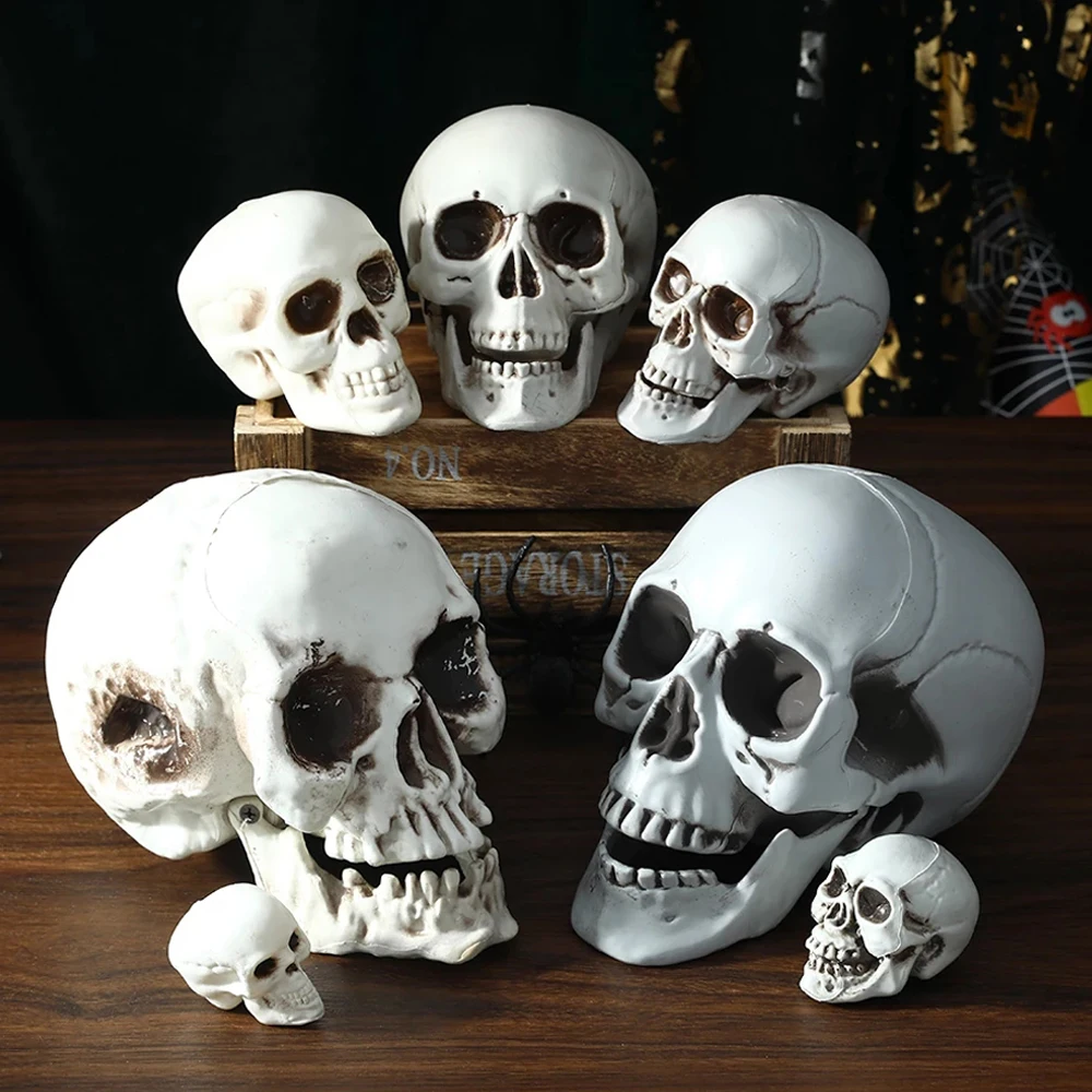 

All Size Halloween Skull Head Skeleton Decor Toy Coffee Bars Home Movie Ornament Party Haunted House Festival Toys Decors