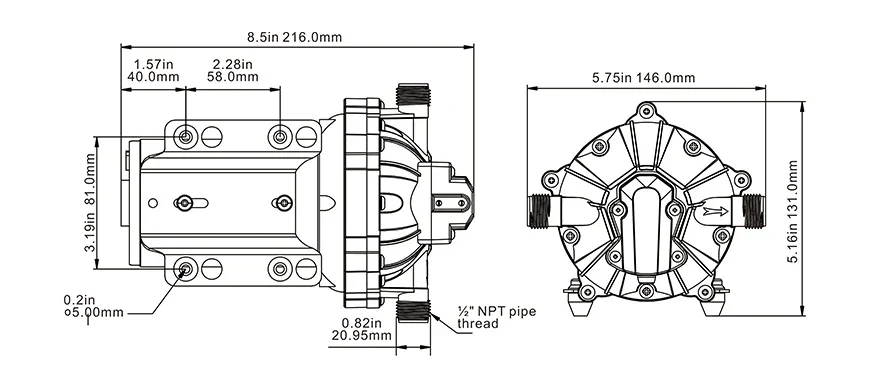 Bomba diafragma SFDP1-050-060-55 для серии 55 5.0GPM 60PSI 12V yate корабля фургона