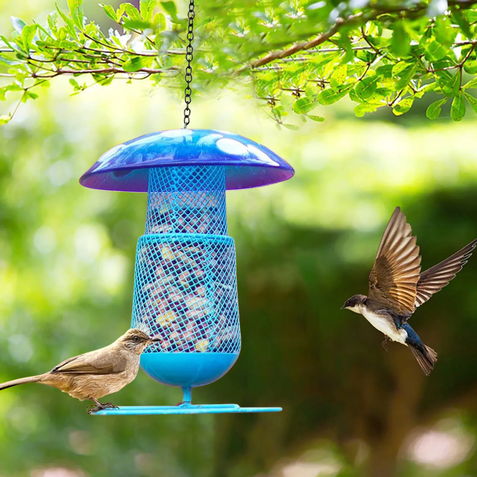 

Lantern Bird Feeders Creative Bird Feeder Iron Wall Hanging Home Garden Decor Peanuts Suower Seeds Squirrel Proof Bird Feeder