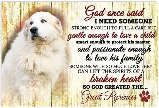 

Vintage Metal Tin Sign God Once Said I Need Some One Great Pyrenees Poster Wall Decor Garden Men Cave Garage Library