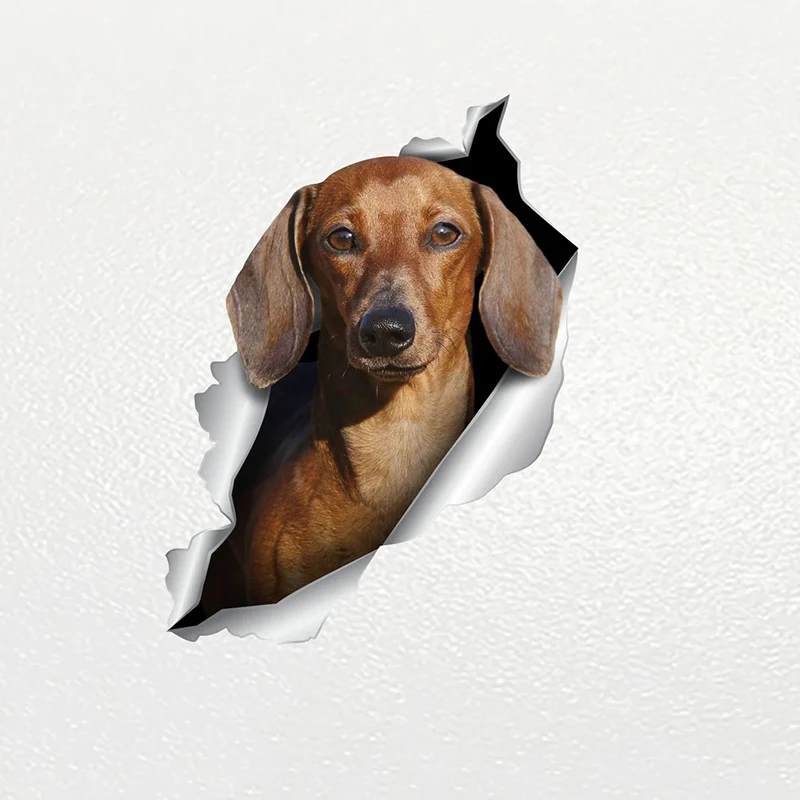 

V1042# Car Sticker Chocolate Mini Dachshund Dog Pet Animal Waterproof Vinyl Decal Car Accessories Decor Pegatinas Para Coche