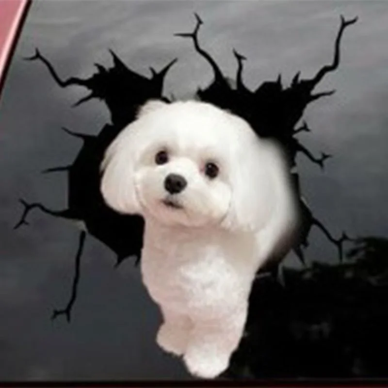 Автомобильные наклейки на заднее стекло сломанное окно щенка