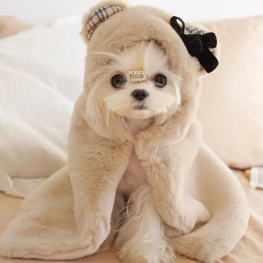 

Одежда и собака и милая искусственная кошка плюшевое пальто с капюшоном теплое одеяло осенне-зимнее одеяло для домашних животных милая Осенняя накидка с медведем и ушами