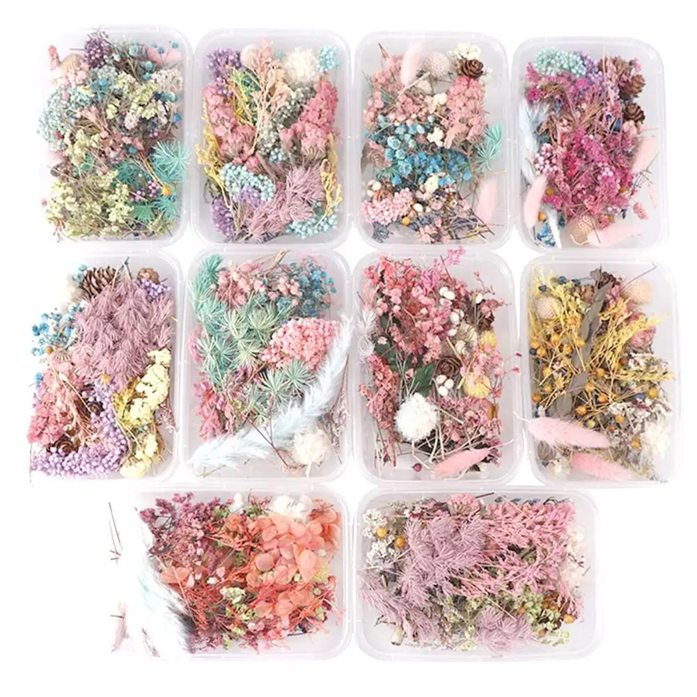 

Colorful Natural Dried Flowers For Epoxy Resin Handmade Crafts Diy Bouquet Garland Candle Making Home Wedding Box Flower De T9m9