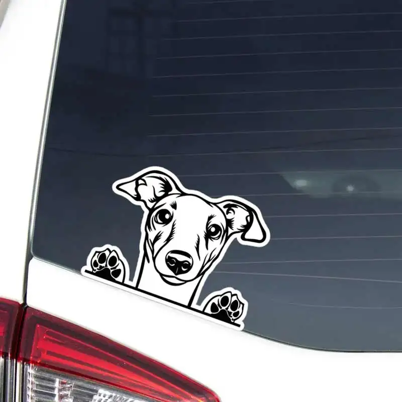 

Итальянская борзая наклейка на автомобиль, выглядывающая черная голова собаки, виниловая водостойкая съемная уличная наклейка на бампер, окно для ноутбука Y184