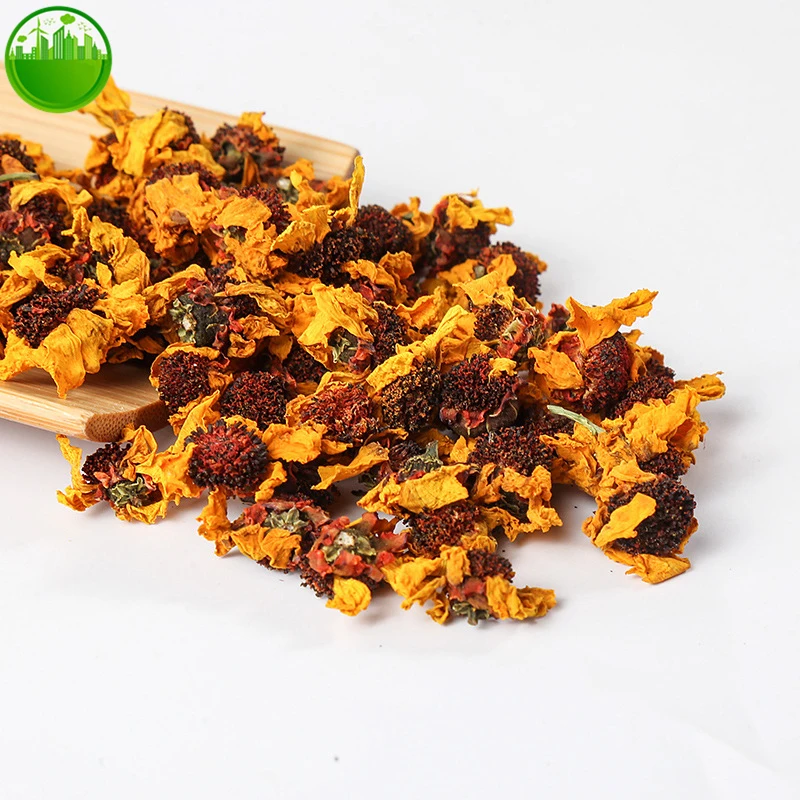 

Снежные хризантемы Kunlun, горы Куньлунь, снежные маргаритки, хризантемы
