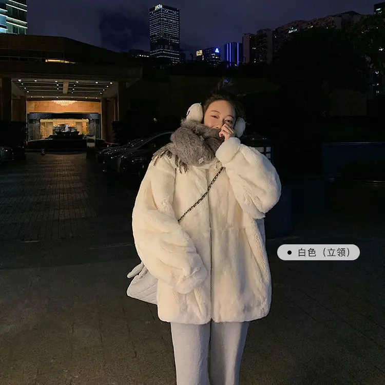 Warm Coats Winter Coat for Women Fur Coat Women Winter Jacket Women 2022 Faux Fur Coat Korean Fur Jacket Fur for Women Coats