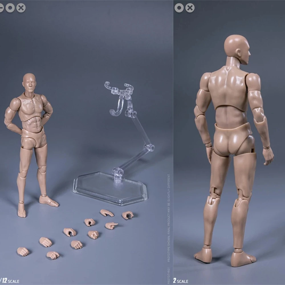 

IN STOCK DAMTOYS 1/12 Scale DPS01 Male Body Action Figure with Accessories