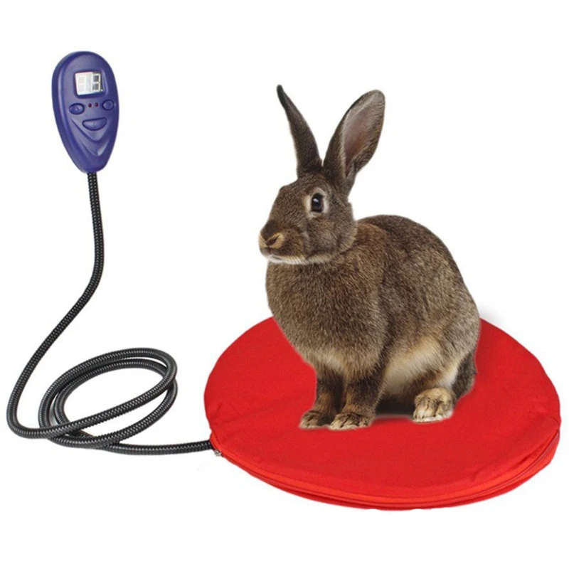 Warming Mat Solid 12v Dc At 2000ma Small Animals,small Anima