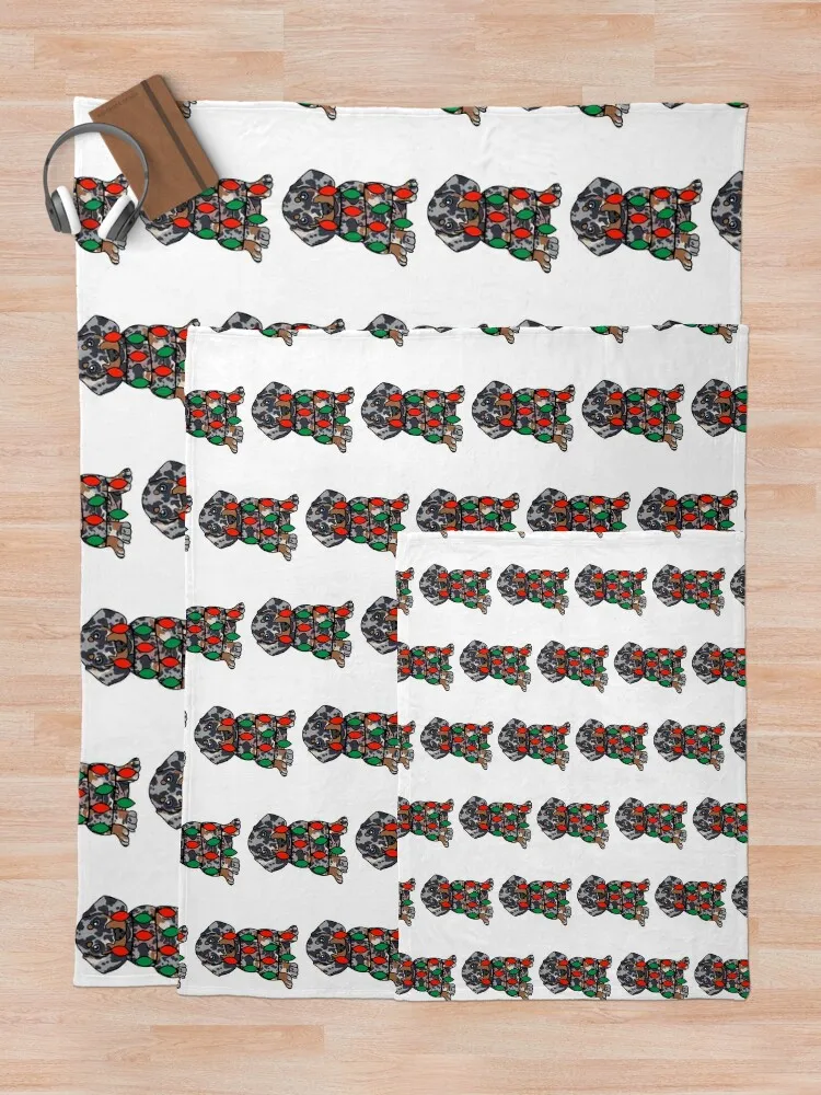 Такса Даппе Собака с рождественскими огнями завернутая вокруг тела –