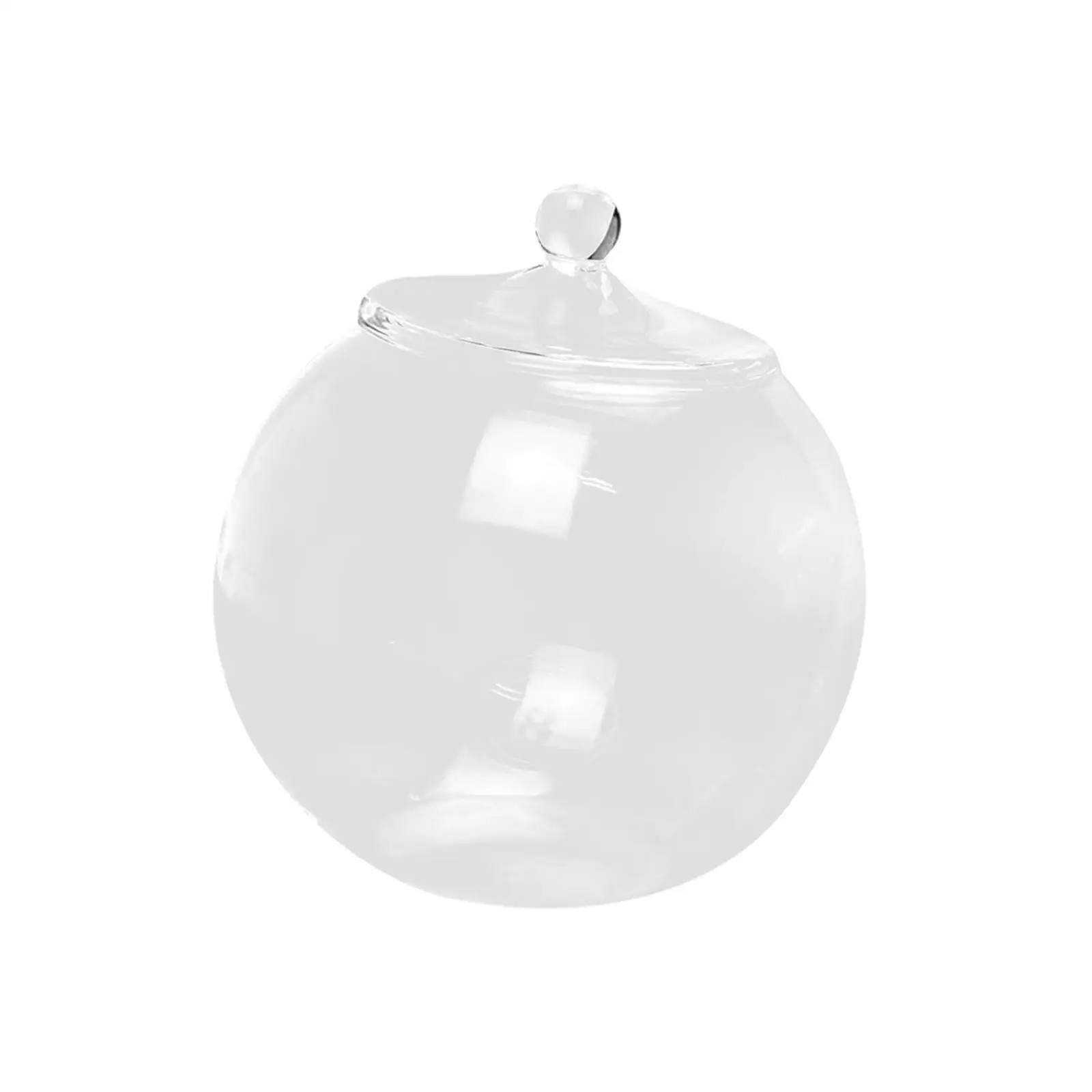 

Micro Landscape Bottle Centerpiece Glass Plant Container for Tea Candy