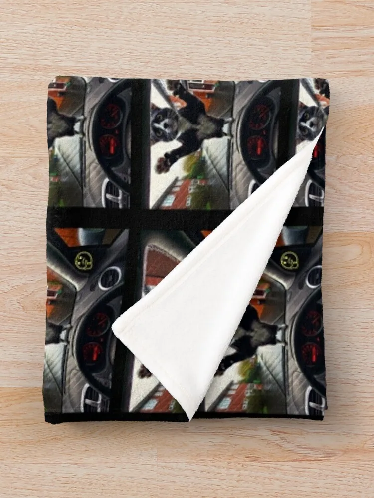 Jovi The Cat раздвижное мокрые ветровое стекло автомобиля одеяло гигантский диван