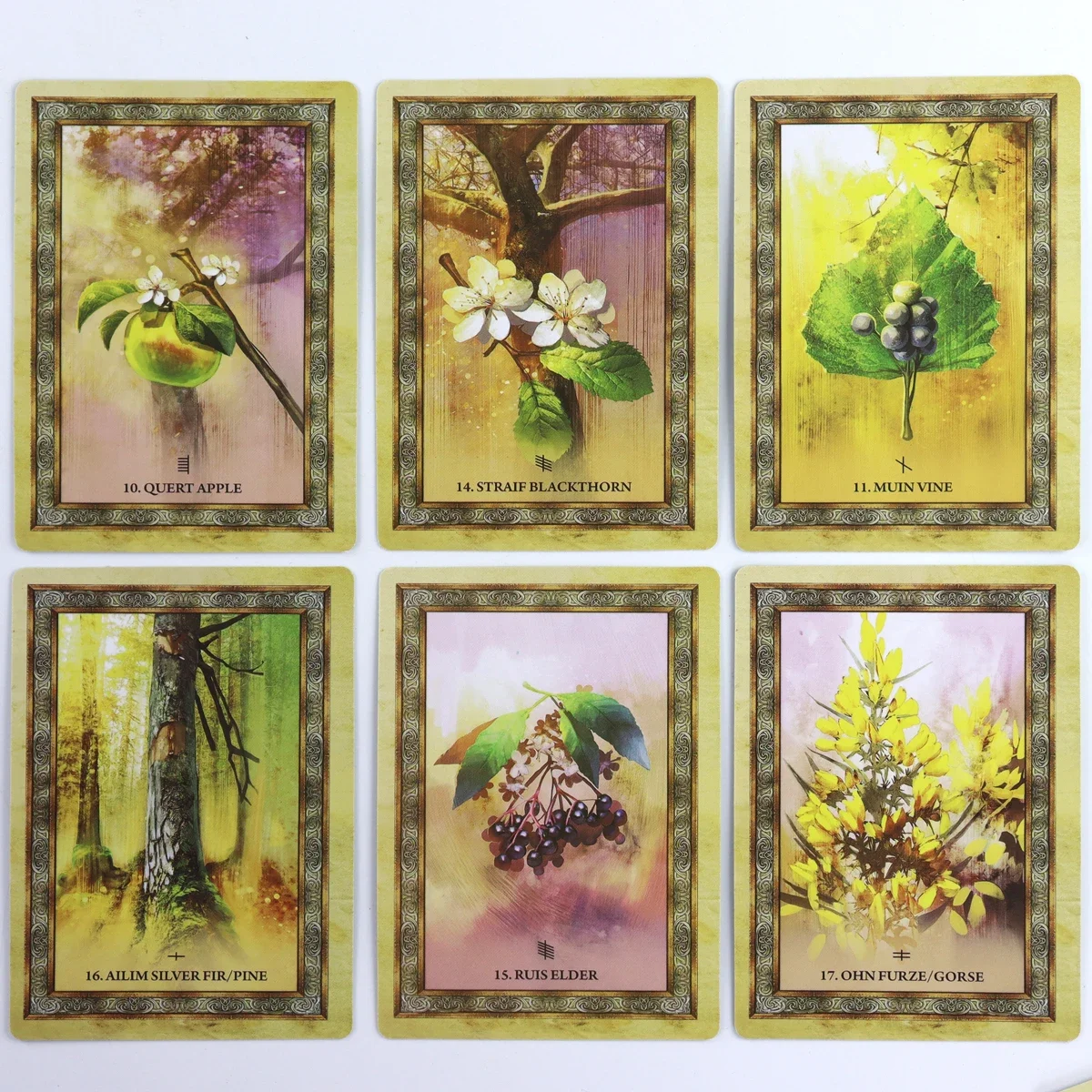 Карты-оракулы из кельтского дерева помогают вы стал от знакомым с фирменными