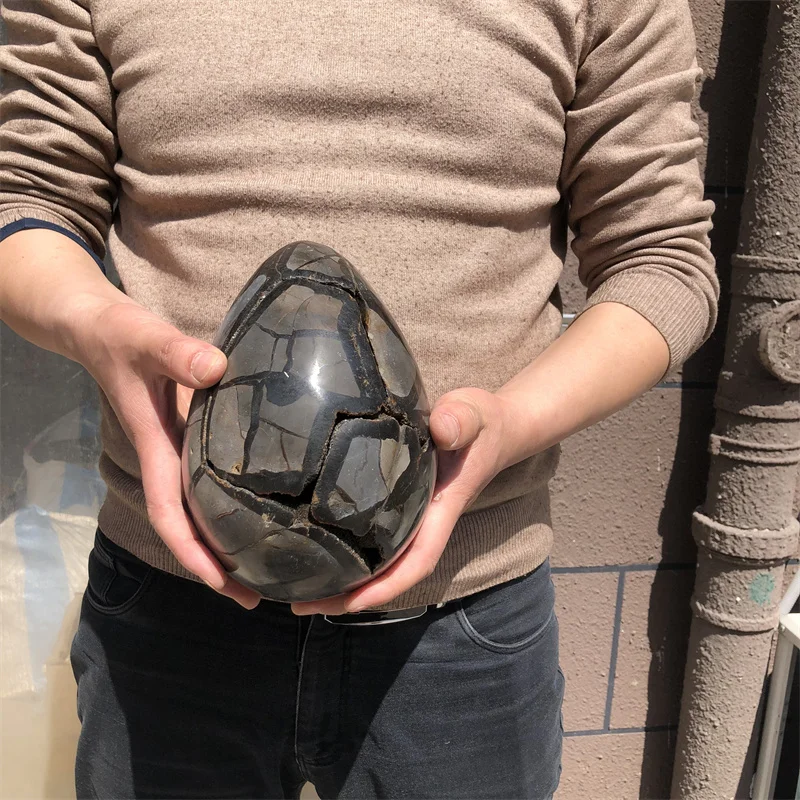 

Натуральная изгиб предмета интерьера, 3,95 кг, черепаха, зернистый камень, яичный шар, септарийный выпуклый Хрустальный элемент