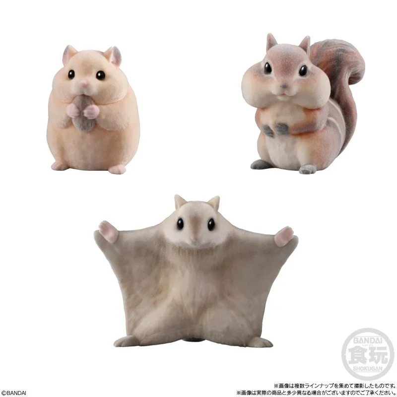 Bandai Shokugan Genuine 8 шт. غ doświadcz rahat・피ות prata teksto 보호 Makanan2 않는festaモンă вместе 건ン Xo frou
