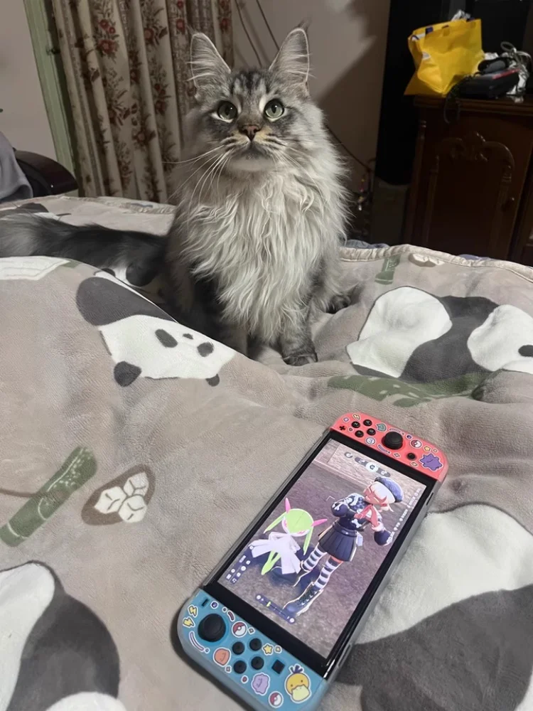 Защитный чехол Cartoon Ditto для Switch Oled Ns Switch2, полупрозрачный жесткий корпус, игровая аниме-периферия (art.: 3920d7fe85bda) - 3920d7fe85bda