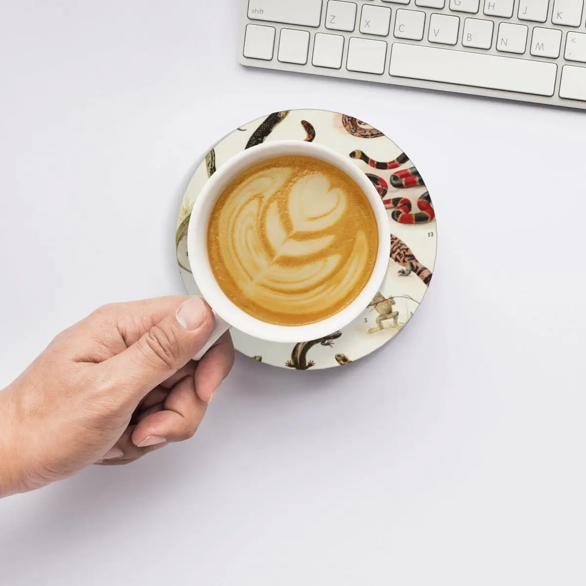 Adolphe Millot - Batraciens et рептилии-французский винтажный zoology постер керамические