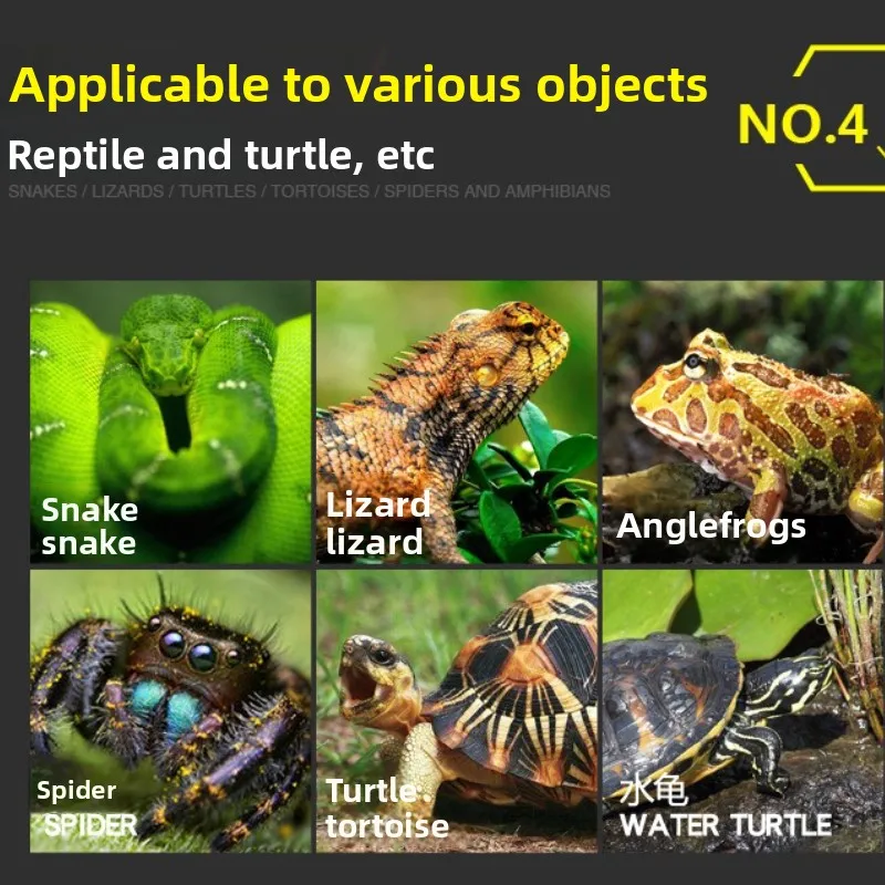GYP Gtile Eye Drops-Multi-Action for Cloudy Eyes&Infections in Turtles,Lizards&Geckos | Договор опухненное закрытие глаз и объединятие (art.: 3920d00f877dc) - 3920d00f877dc
