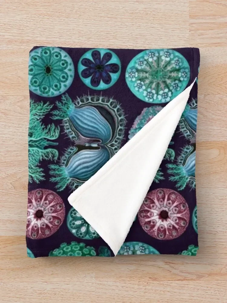 Одеяло Летящее в стиле эфирного асцита одноцветное