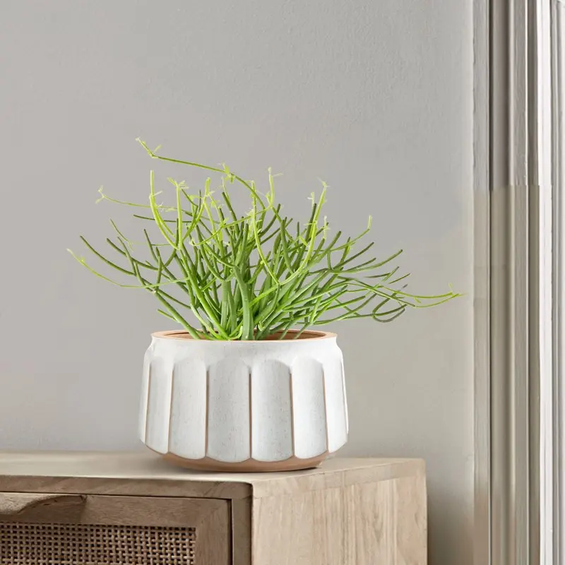 

Gorgeous 14" x 11" Round White and Brown Striped Ceramic Gloworm Plant Planter with Attractive Drainage Hole - Perfect Ornament