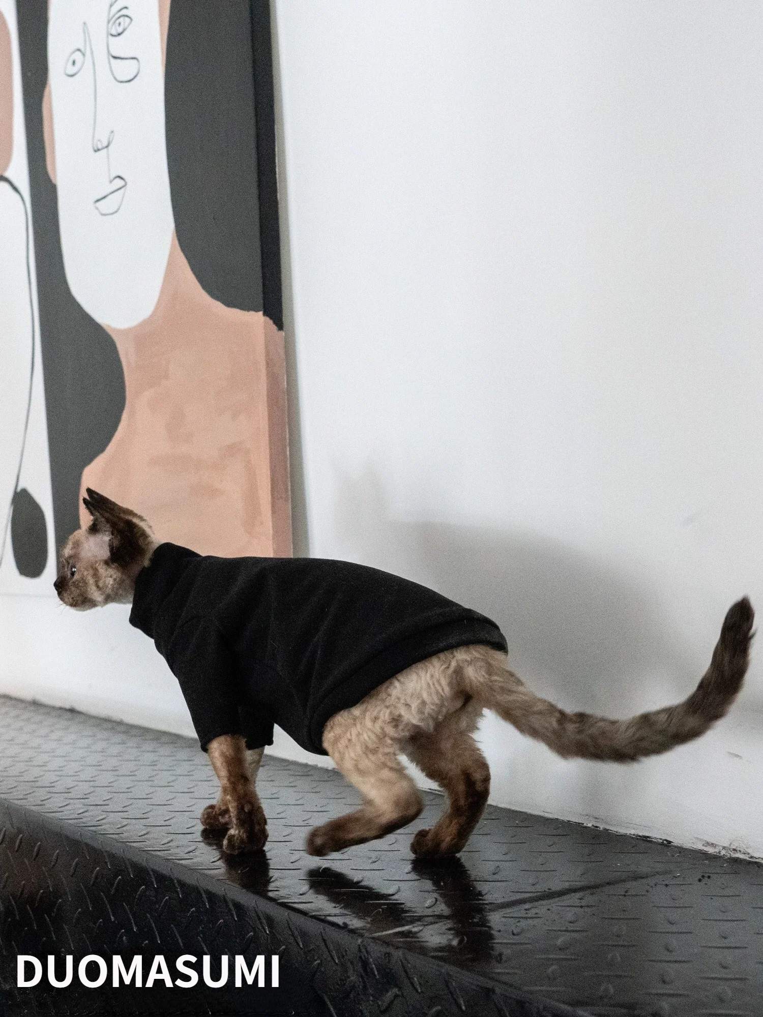 В наличии чистая одежда для кошек без волос теплая зимняя плотная катионная