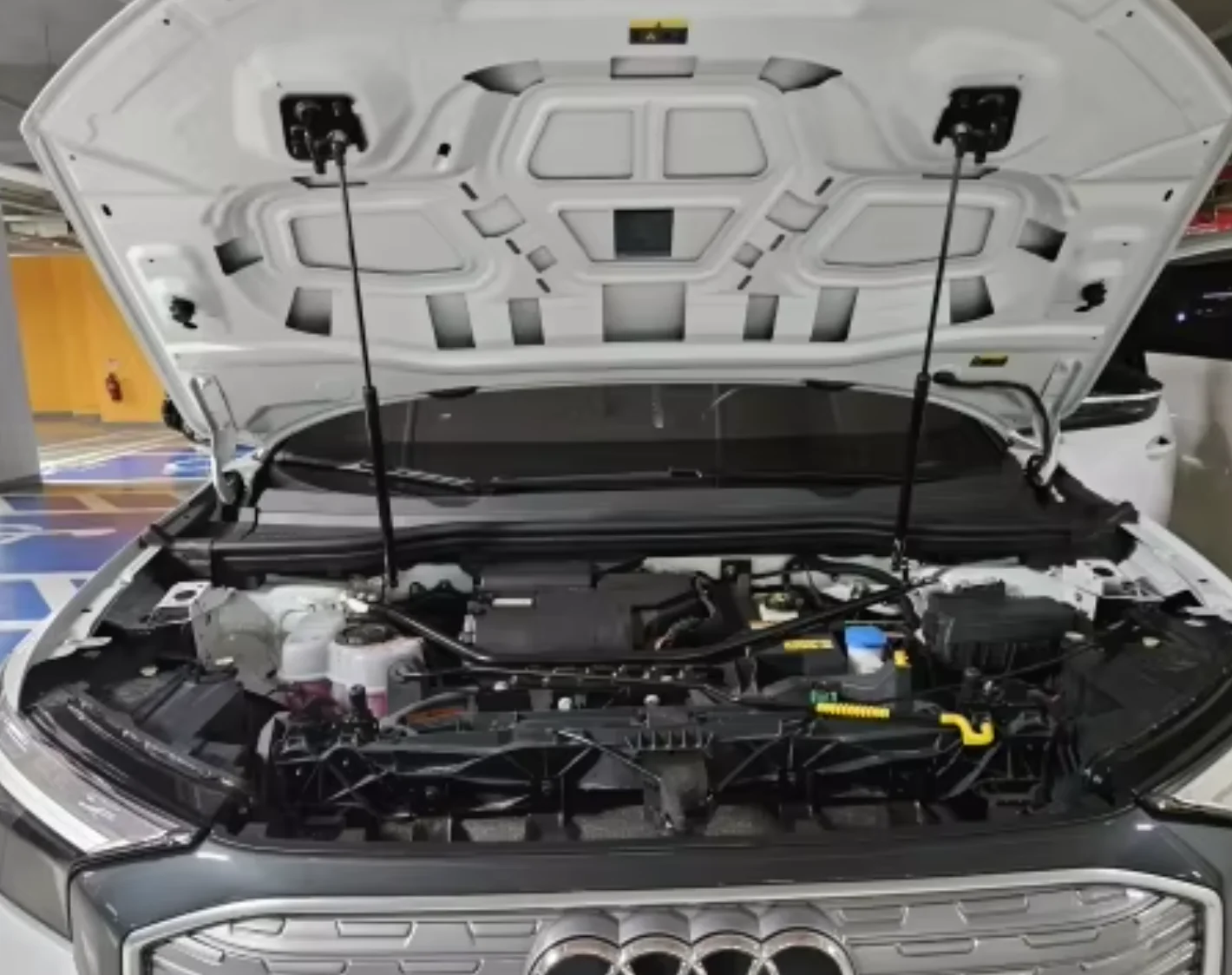 Фото Амортизаторы капота (газовые упоры) для Audi Q4 e-tron 2022-2026 №5
