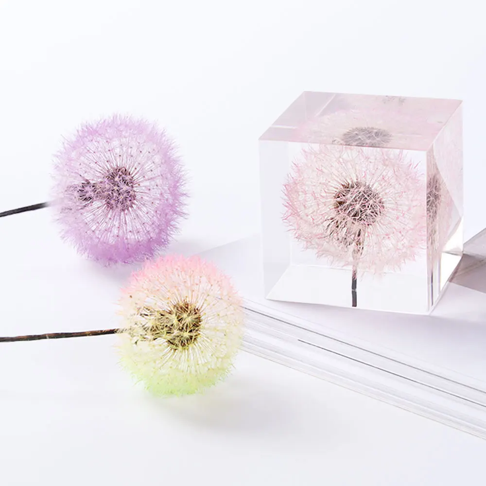 

Mini Decor Dandelion Immortal Flower Filled Model Epoxy Crystal Material Craft Diy Miniature Landscape Raw Material Accessories