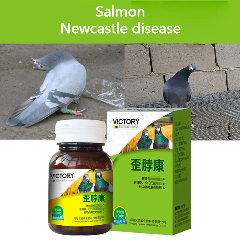 Probiotic nutritional supplements for prevention and treatment of crooked necks and heads of pigeons
Probiotic nutritional supplements for prevention and treatment of crooked necks and heads of pigeons
