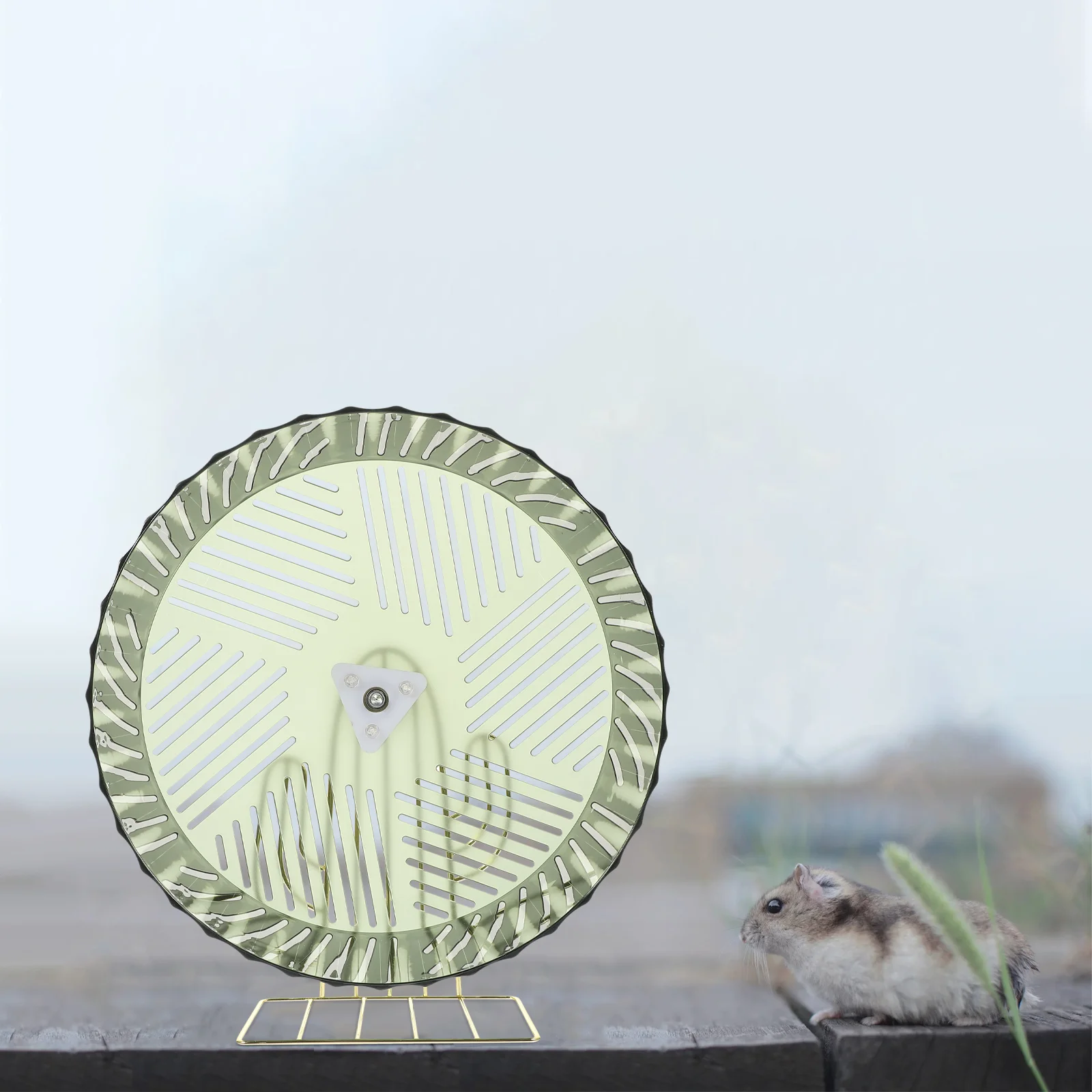 Печенье ежик хомяк беговое колесо стабильные аксессуары для крыс блюдце игрушки