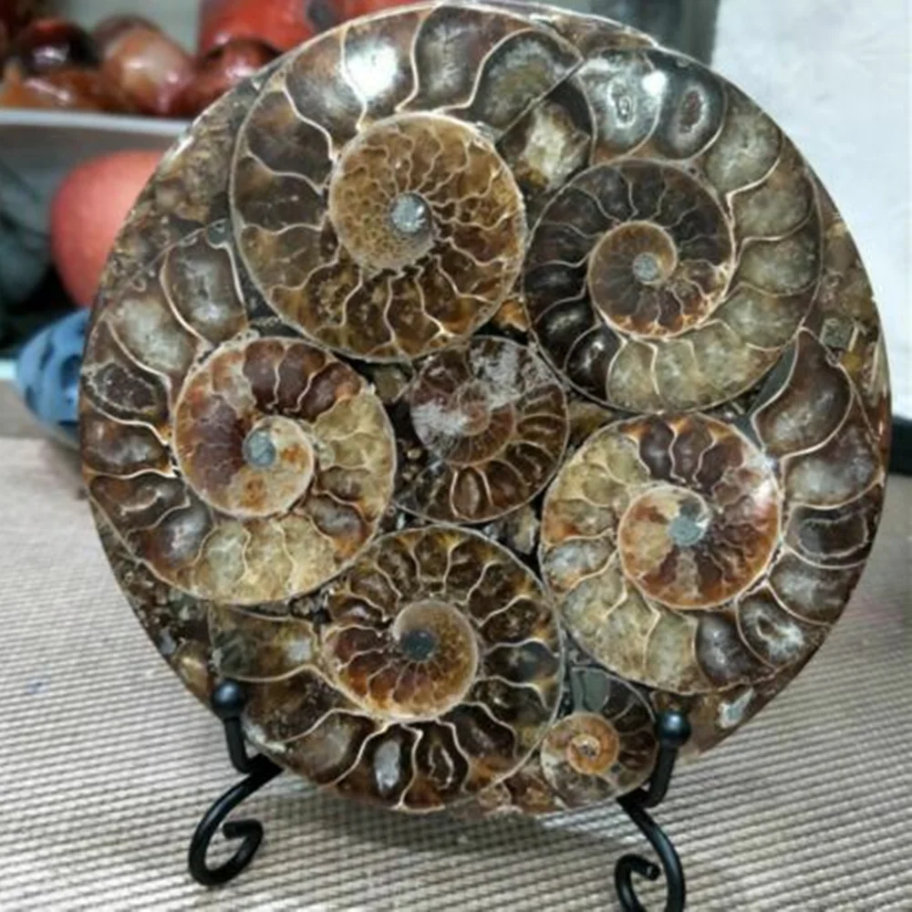 

Натуральная Зеленая смесь AAA, лечебное украшение, пальентологические ископаемые кусочки board120-140mm