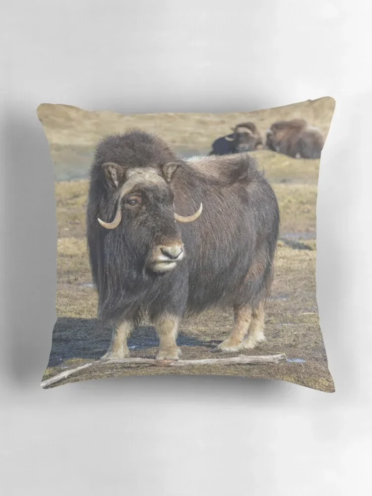 Arctic Muskox наволочки для диванных подушек Набор наволочек