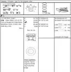 

GOETZE 8772191-050A PISTON + PISTON RING (80,01mm 0,50) / ( 0,25 SHORT)/(2,4D 24 PIN) A80 A100 CORDOBA IBIZA INCA TOLEDO FELICIA CADDY