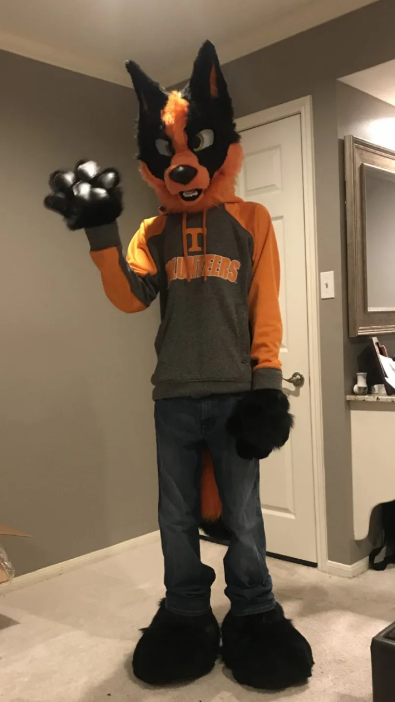 

Лиса, собака, костюм, талисман, искусственная фотография, животные, мультяшный персонаж, костюм