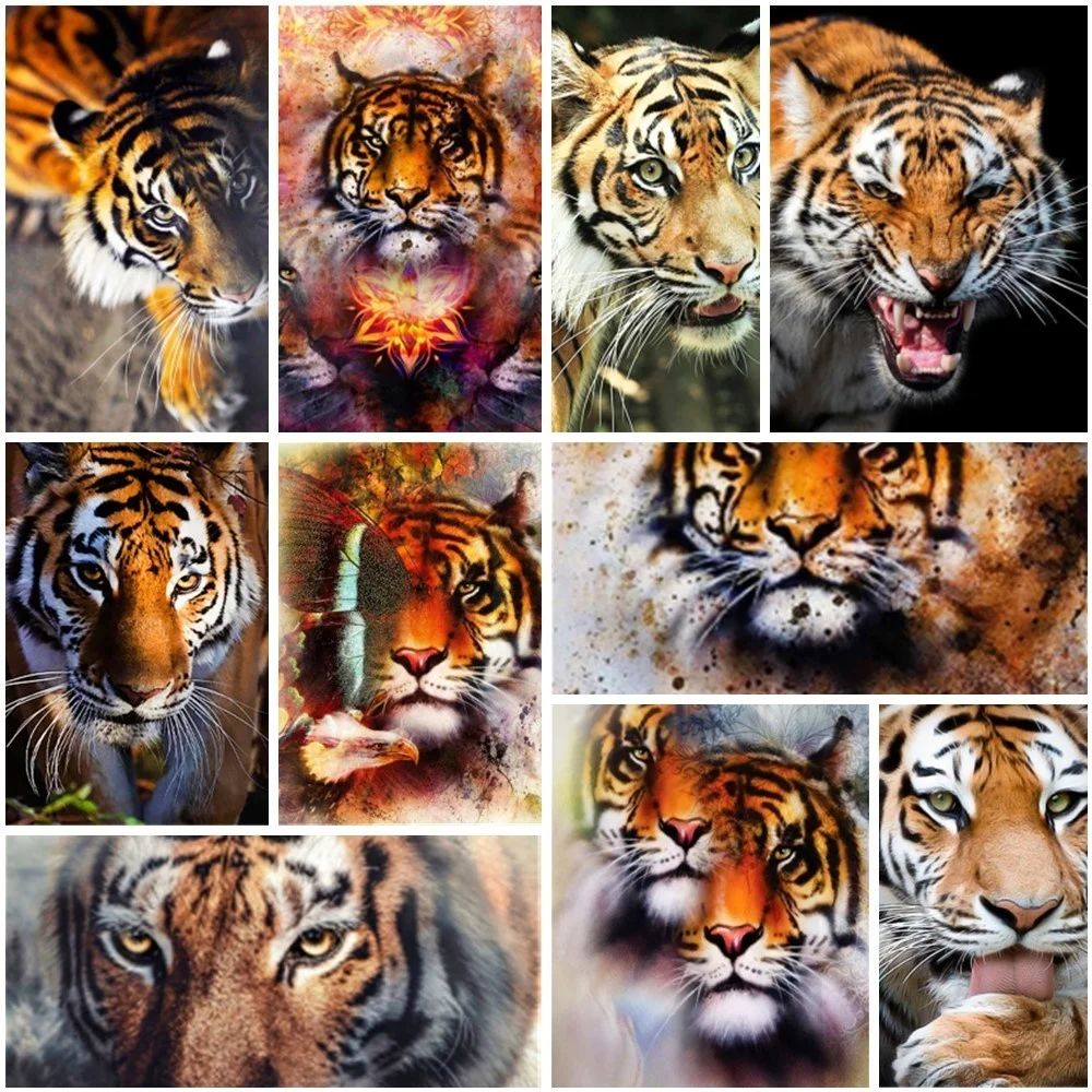 

Wild Animal Tiger Paint By Numbers 40x50 DIY Craft Kit For Adults Wall Art Personalized Gift Ideas Wholesale Free Shipping 2023