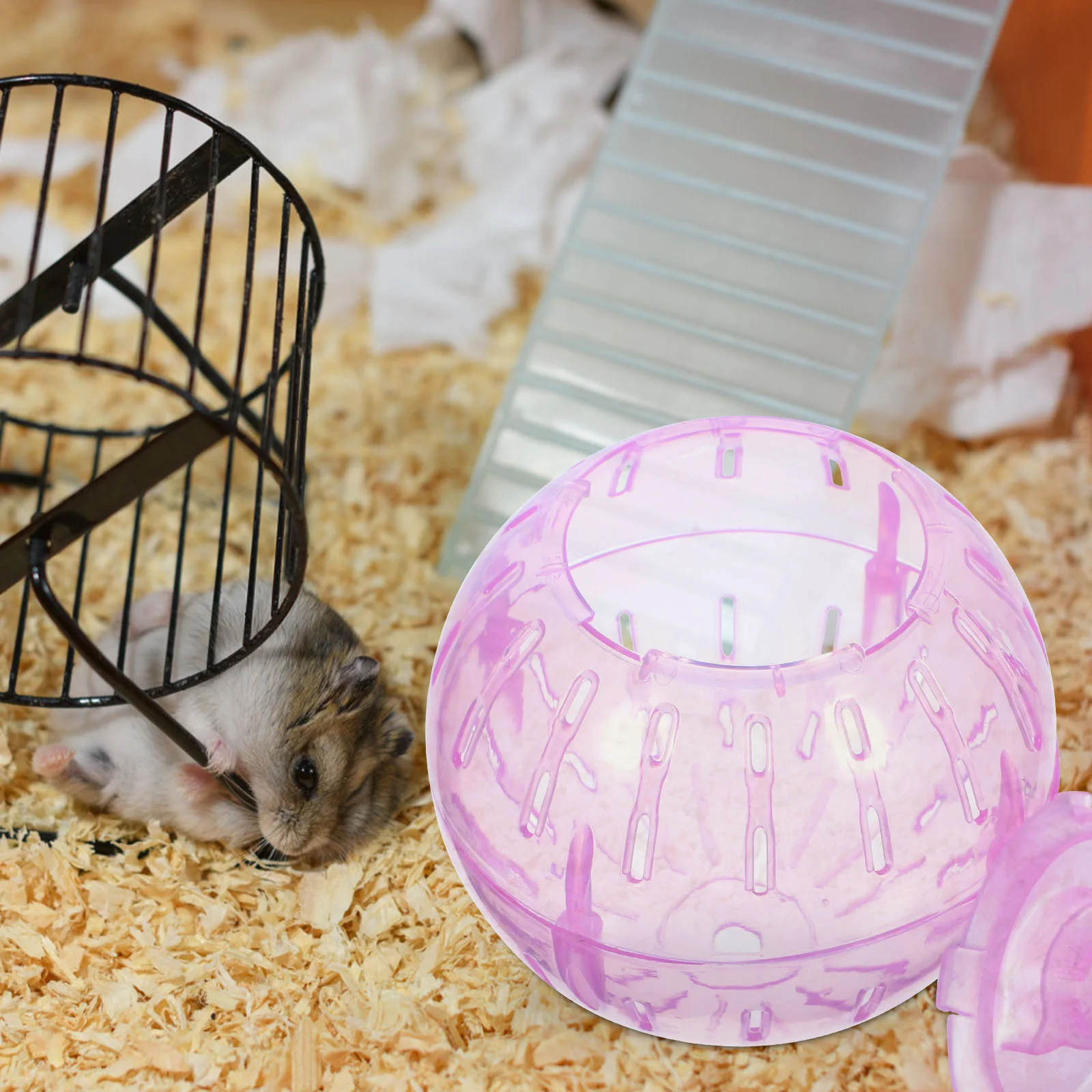 3 шт. шарик для хомяка мышь игрушка мини-игрушка товары домашних животных игрушки