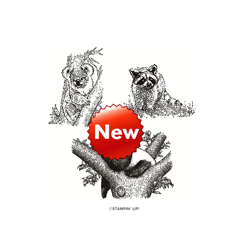 Новейшие Вырубные штампы 2022 прозрачный штамп для скрапбукинга изготовления