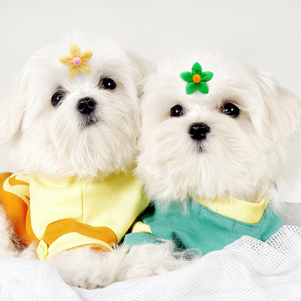 Рисунок 6 - Банты для собак и кошек в форме цветка